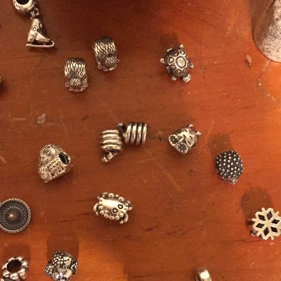 Silver Pandora Charm Bracelets - Picture 8 of 11